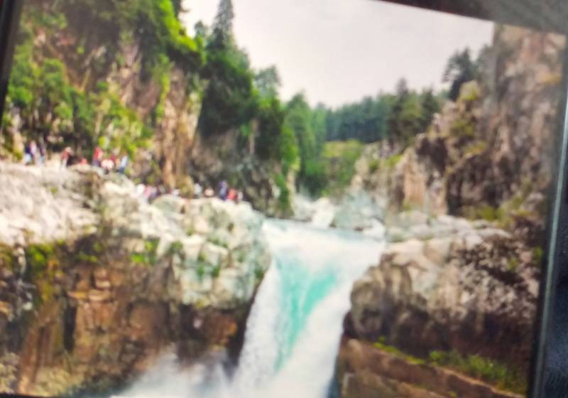 6. Days 5 nights in kashmir Phalgam Gulmarg Sonmarg Sarinagar