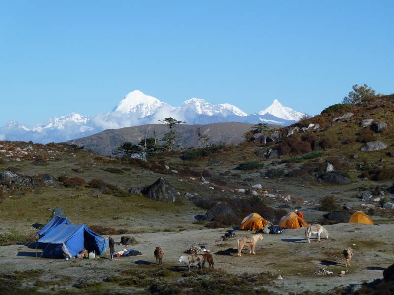 7 Nights 8 Days Bhutan Trakking Package (Druk Path Trek)