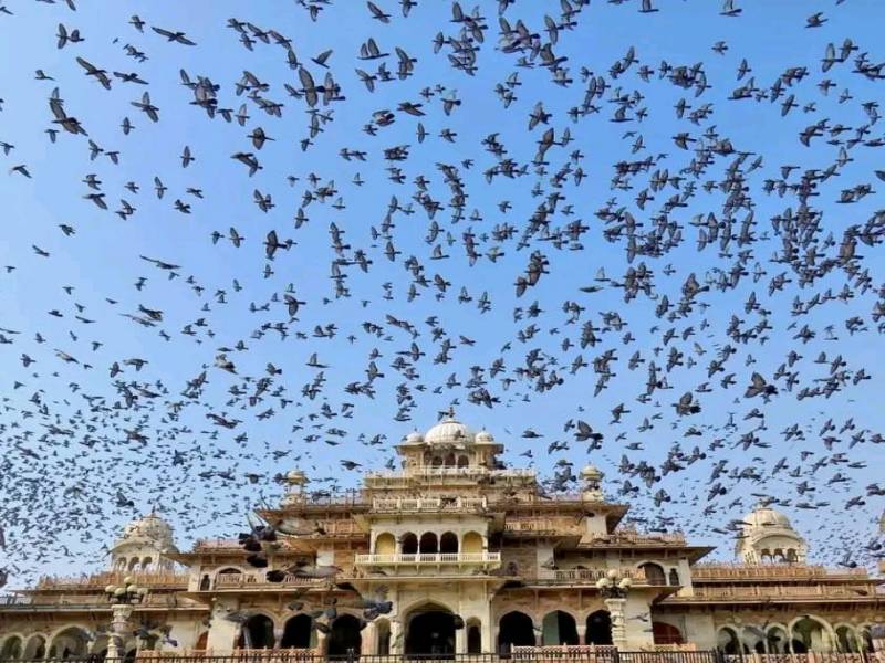 1 Night 2 Days Jaipur Tour