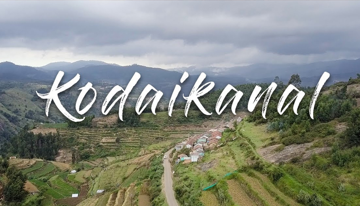 4N5D To Ooty, Kodaikkanal Tour