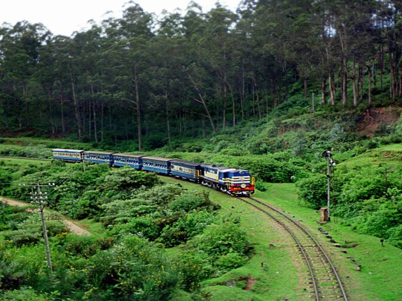 4N5D to Ooty, Kodaikkanal Tour