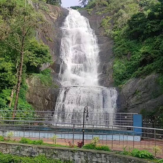 4N5D to Ooty, Kodaikkanal Tour