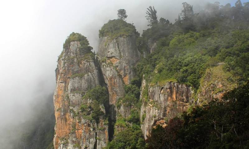 4N5D to Ooty, Kodaikkanal Tour