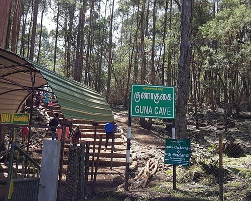 4N5D to Ooty, Kodaikkanal Tour