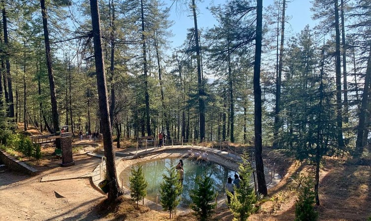 3 Night 4 Day Shimla Tour