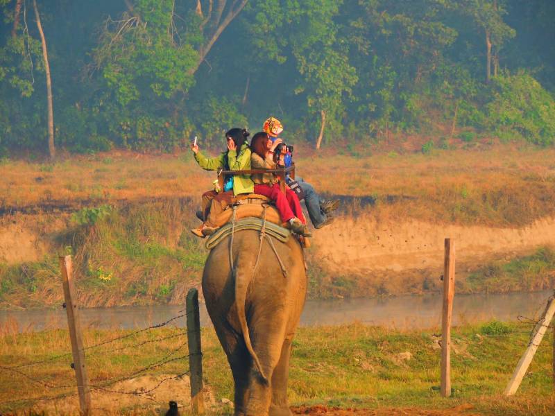 Chitwan Jungle safari Tour from Kathmandu and Pokhara