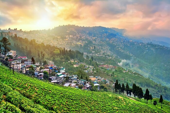 Gangtok Lachung Kalimpong Darjeeling 7Night 8Days