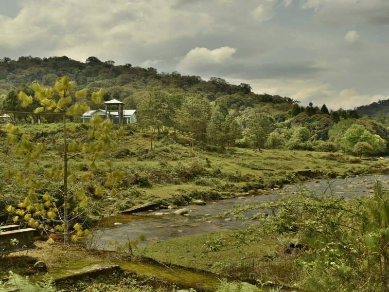 Camping in Ziro Festival of Music for 5D/4N