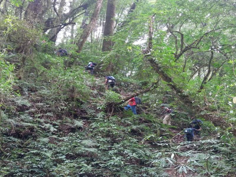 Camping in Ziro Festival of Music for 5D/4N