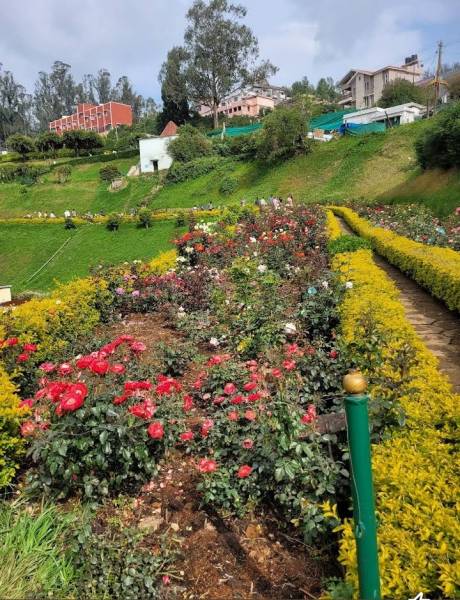 2nights 3 Days Ooty Sightseeing