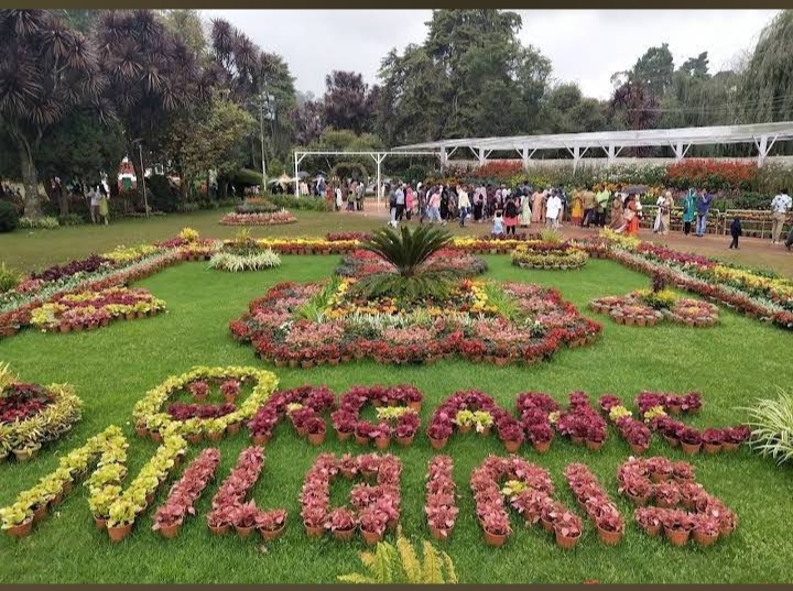 2nights 3 Days Ooty Sightseeing