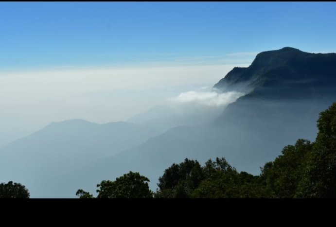 2 Night 3 Days Mysore & Ooty Tour