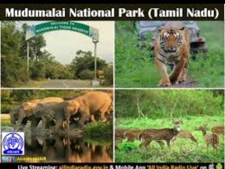 2 Night 3 Days Mysore & Ooty Tour