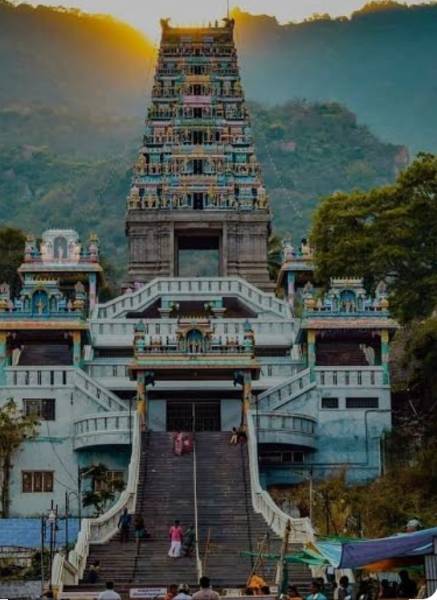 3 Night 4 days Coimbatore to Ooty tour