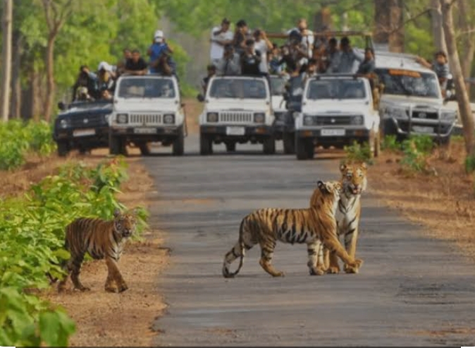 3 Night 4 days Coimbatore to Ooty tour