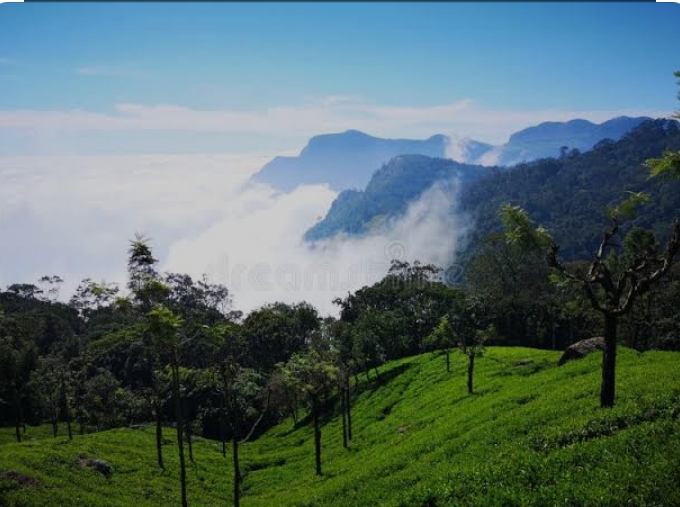 3 Night 4 days Coimbatore to Ooty tour