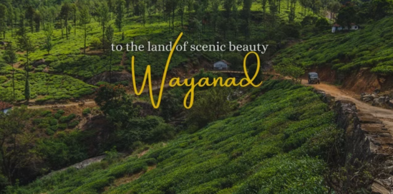 Wayanad - Coorg Ex - Bangalore 04 Days 03 Night Tour