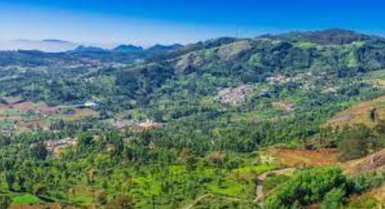 5 Night 6 Days Coimbatore to Ooty & Mysore Tour