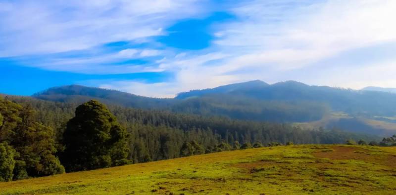 5 Night 6 Days Coimbatore to Ooty & Mysore Tour