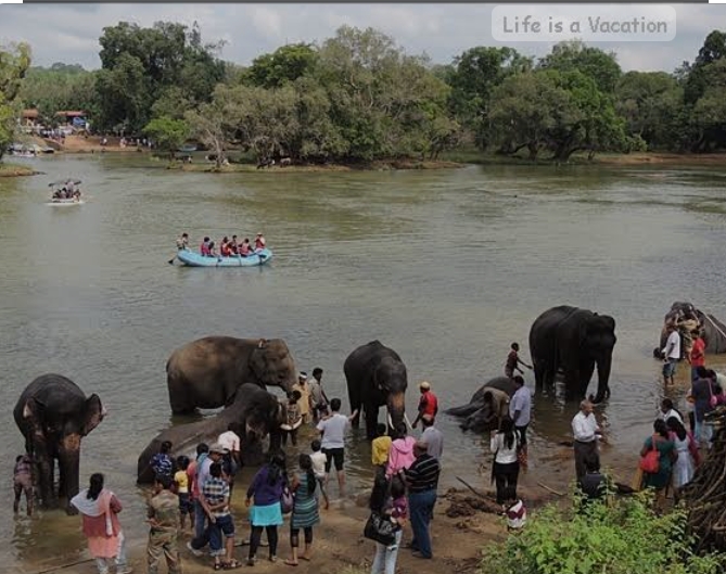 Mysore to Coorg & wayanad