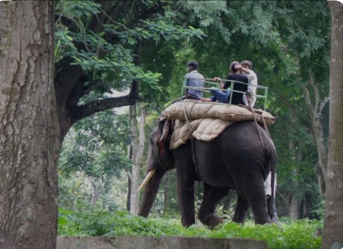 Mysore to Coorg & wayanad