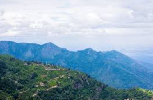 6 Nights 7 Days Mysore - Ooty - Coonoor - Coorg Sightseeing