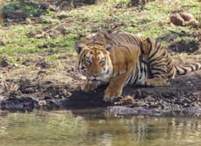 6 Nights 7 Days Mysore - Ooty - Coonoor - Coorg Sightseeing