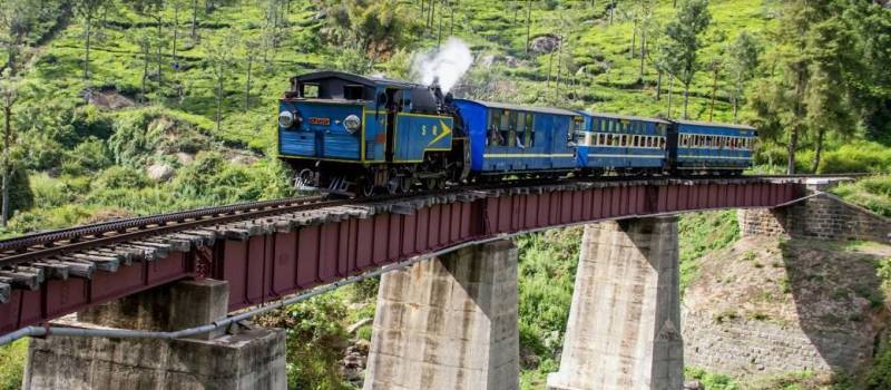 6 Nights 7 Days Mysore - Ooty - Coonoor - Coorg Sightseeing