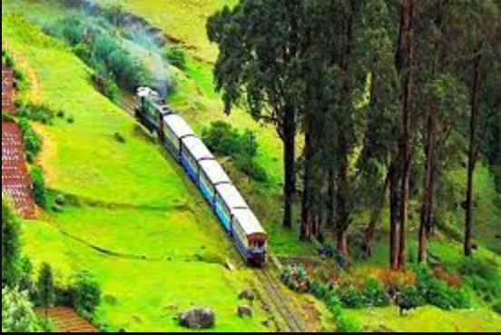 6 Nights 7 Days Mysore - Ooty - Coonoor - Coorg Sightseeing