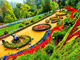 Ooty, Coonoor, Mysore Tour