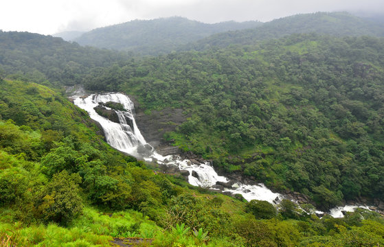 3D 2N Mysore Coorg Tour