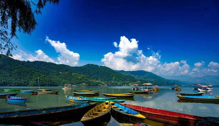 7 nights 8 days The Golden Triangle Tour of Kathmandu, Chitwan and Pokhara