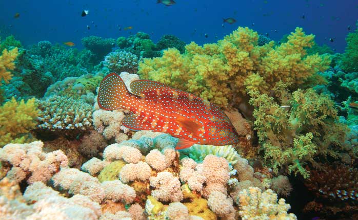 04 Night or 05 Days Tours Package