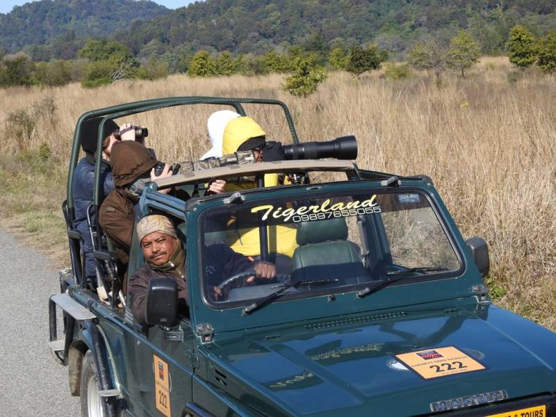 Tiger Photography Tour