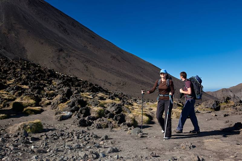 8-Day Lemosho Route Trekking