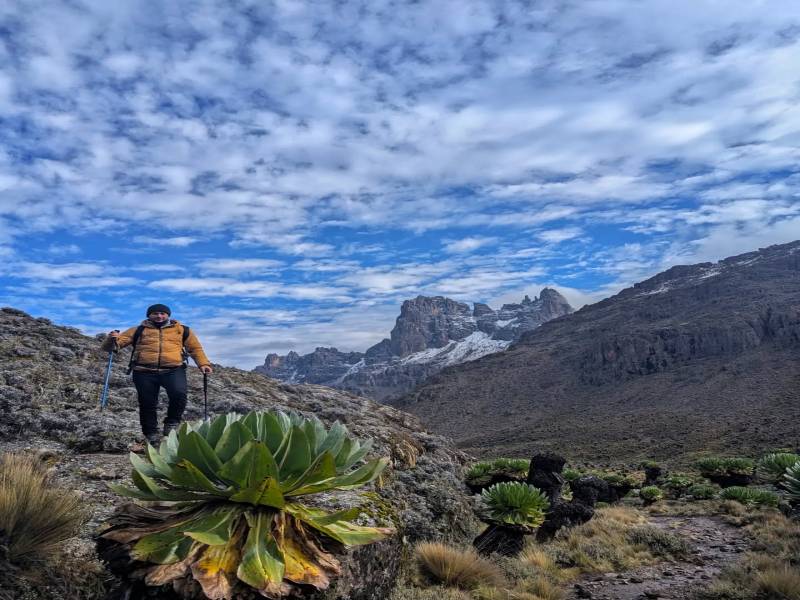 8-Day Lemosho Route Trekking