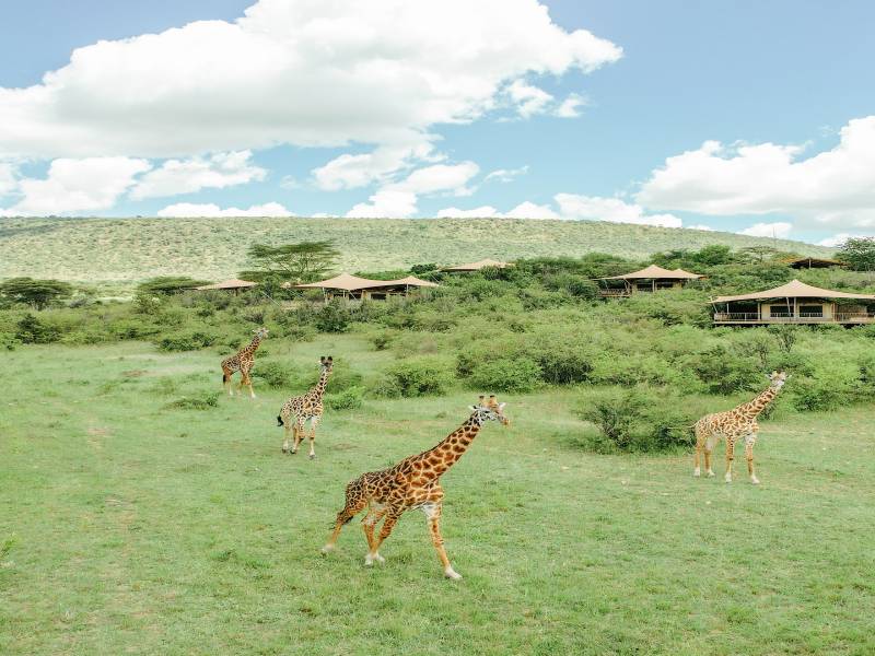 2-day Tanzania safari