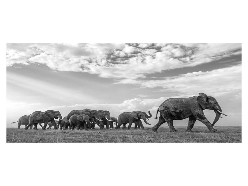 2-day Tanzania safari