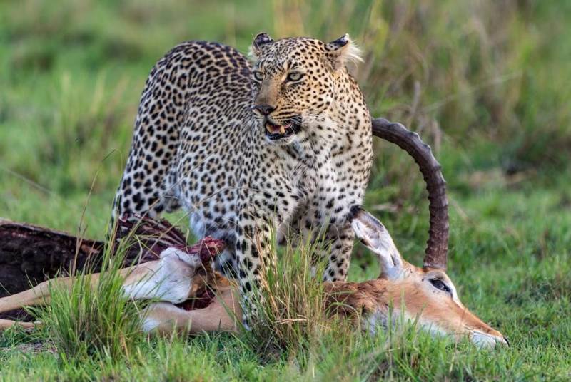 2-day Tanzania safari