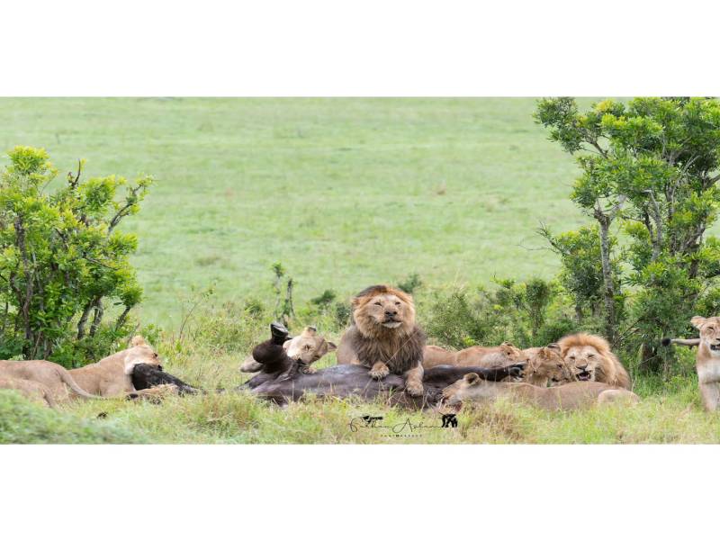 5 Days Safari – The Best of Tanzania