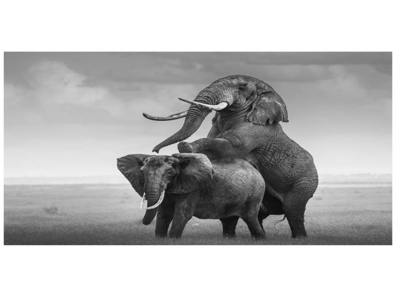 9-Day Safari Itinerary: Lake Naivasha, Masai Mara, Serengeti, Ngorongoro, Lake Manyara & Tarangire