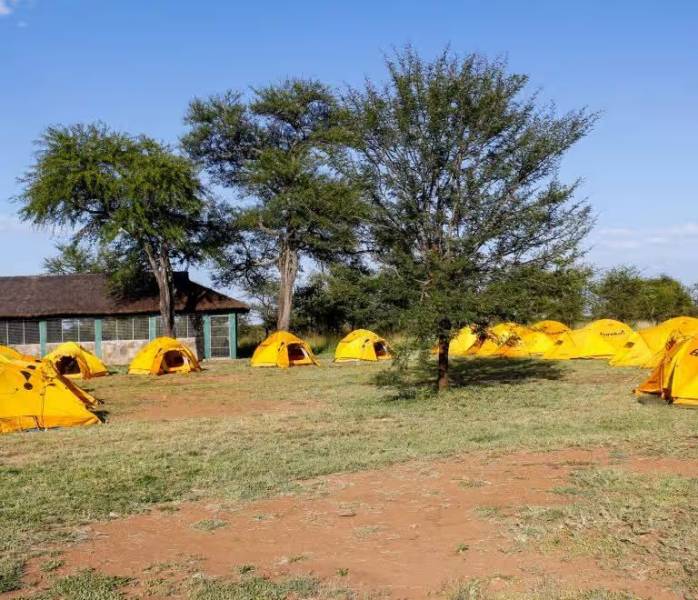 4 Days Northern Circuit Camping Safari Tour