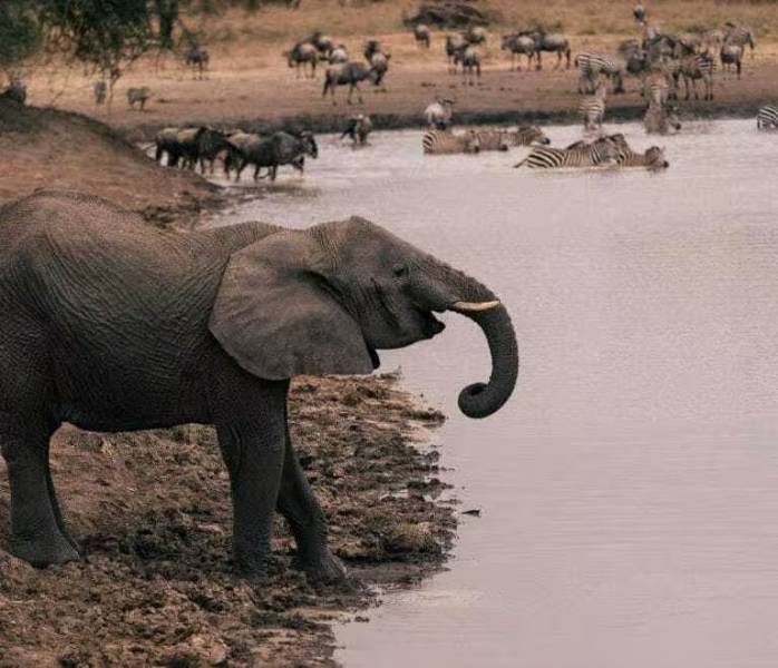 2-Day Epic Safari Best Of Tarangire And Ngorongoro Tour