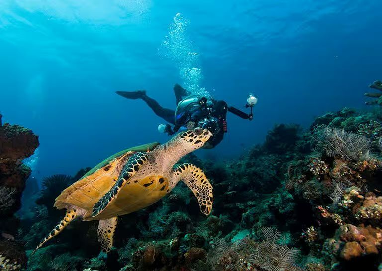 5 Days Zanzibar Beach Holiday Tour