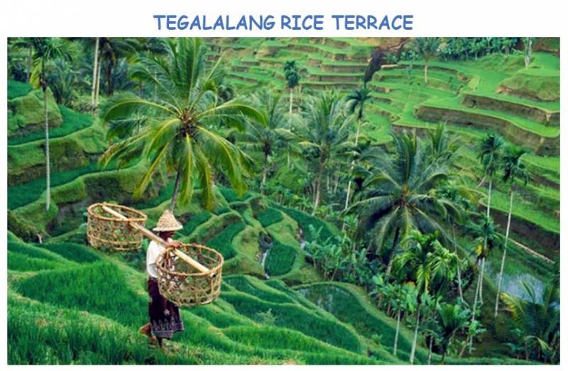 Bali Amazing Package