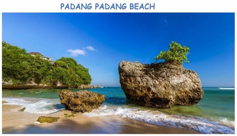 Bali Amazing Package