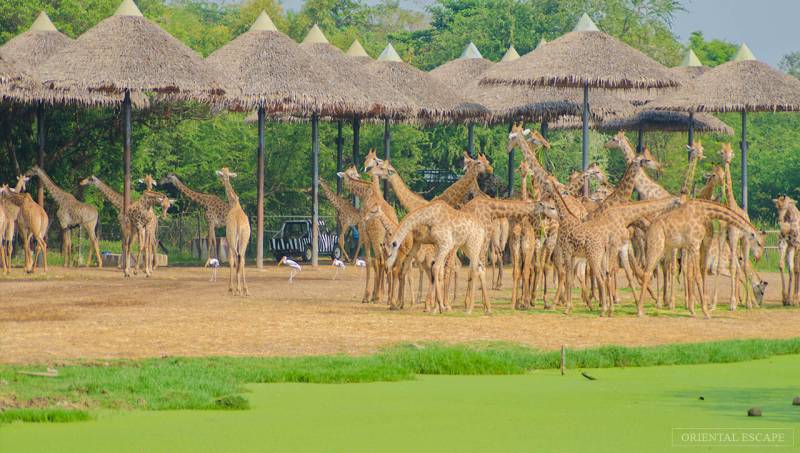 THAILAND HONEYMOON SPECIAL - PHUKET, KRABI & BANGKOK