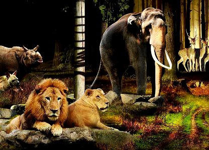 Singapore Tour Package from India