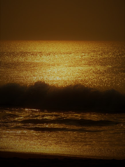 4 Nights 5 Days Bhubaneswar  - Puri