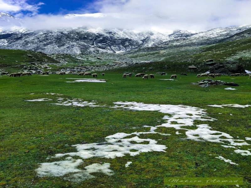 5 Nights 6 Days Vaishno Devi And Kashmir Tour Package